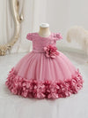Baby's Elegant Embroidery Mesh Splicing Princess Dress, Flower Decor Cap Sleeve Gown, Toddler Girl's Clothing For Formal Occasion FD6103C