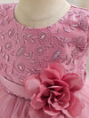 Baby's Elegant Embroidery Mesh Splicing Princess Dress, Flower Decor Cap Sleeve Gown, Toddler Girl's Clothing For Formal Occasion FD6103C