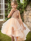 Sparkling Princess Dress With Train For Girls, Perfect For Wedding Pageant Halloween Parties Performance, Outdoor Cloth FD6091G