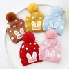 Sky Blue Rabbit Baby Warm Winter Wool Cap (0 Months - 24 Months) CP5089C