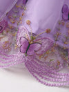 3pcs Girls' New Spring and Autumn Season Customized Three-dimensional Butterfly Embroidery Mesh Dress FD6102H