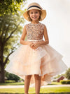 Sparkling Princess Dress With Train For Girls, Perfect For Wedding Pageant Halloween Parties Performance, Outdoor Cloth FD6091G