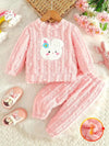 2pcs, Baby Girl's Cute Bunny Embroidery Long Sleeves Warm Plush Top + Versatile Long Pants Co Of Set, Casual Comfy Outdoor Clothes For Fall Winter HJ6208F