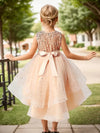 Sparkling Princess Dress With Train For Girls, Perfect For Wedding Pageant Halloween Parties Performance, Outdoor Cloth FD6091G