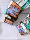 2pcs Baby's Cartoon Dinosaur Comics Print Sweatshirt & Casual Pants, Toddler & Infant Boy's Clothing Set, Outdoor Thin Clothing TS6037C