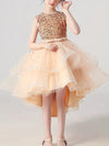 Sparkling Princess Dress With Train For Girls, Perfect For Wedding Pageant Halloween Parties Performance, Outdoor Cloth FD6091G