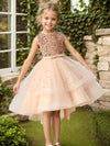 Sparkling Princess Dress With Train For Girls, Perfect For Wedding Pageant Halloween Parties Performance, Outdoor Cloth FD6091G