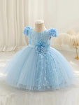 Baby's Elegant Flower Decor Butterfly Applique Mesh Gown Dress, Infant & Toddler Girl's Dress For Formal Occasion FD6103G
