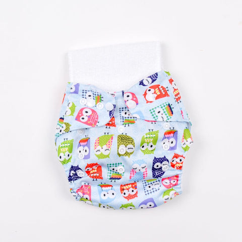 Sky Blue Owl Reusable Baby Infant Nappy Cloth Diaper BCP1017I